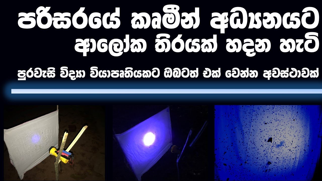 පරිසරයේ කෘමීන් අධ්‍යනයට ආලෝක තිරයක් හදන හැටි: ගෙදරදීම කරන්න පුළුවන් සුවිශේෂ විද්‍යා ව්‍යාපෘතියක්