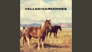 Veiled Harmonies (Loopable, No Fade)