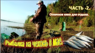 Рыбалка на чехонь в мае.   ЧАСТЬ  2  Классно отловился! ДОВОЛЕН по уши!