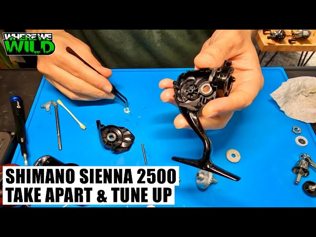 SHIMANO SIENNA 2500HG - Take Apart & Tune Up - Fishing Reel