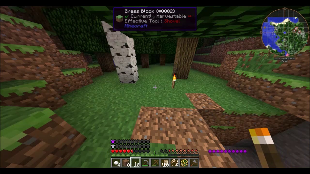 Minecraft Psycho Craft Part 1 - YouTube