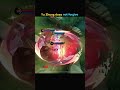 ✅ Yu Zhong Does not Forgive be like