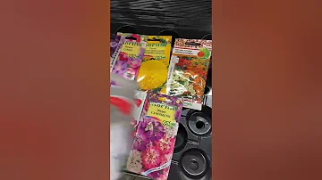 Цветы без рассады ❤️