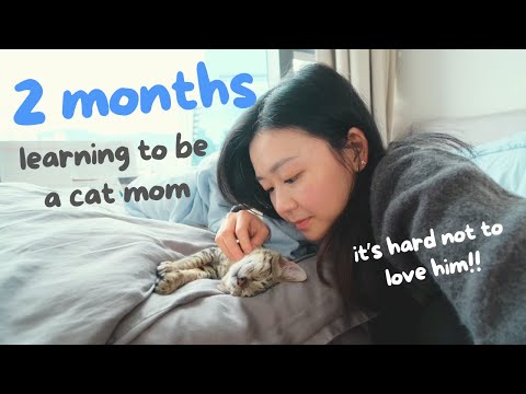Two months of learning to be a cat mom 🐱 | Cozy vlog