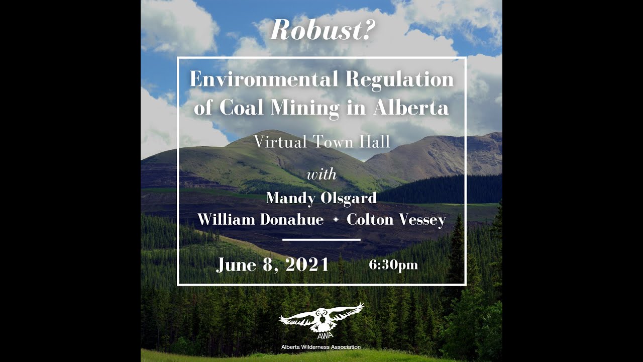 Virtual Town Hall: Robust? Environmental Regulation of Coal Mining in Alberta