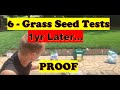 Grass Seeding Before and After RESULTS 1yr Update! | Grass Seed Test Proof (LAWN CARE)