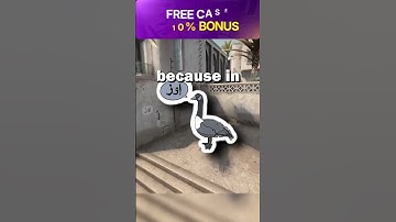 The History of Famous CS2 Call Outs?