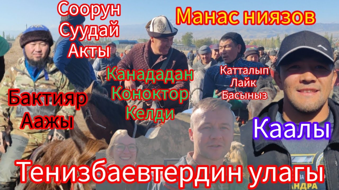 Тенизбаевтердин той улагы