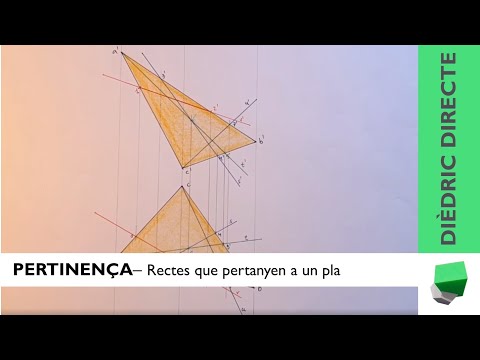 Vídeo: Què és un pla de parts interessades?