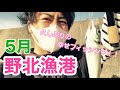 027 【糸島 5月の野北漁港で釣り再開♪】久しぶりの釣りに幸せを全身で噛み締める！！fukuoka fishing club in nokita fishing port