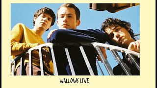 Wallows Live