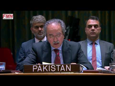 Pakistan’s UN Envoy Asim Iftikhar Ahmad Speaks After Vote on Draft Resolution S2025561 Concerni.....