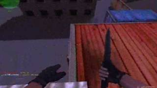 Bug assault CSO.jp