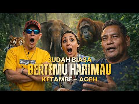 PERBATASAN ACEH - SUMATERA UTARA