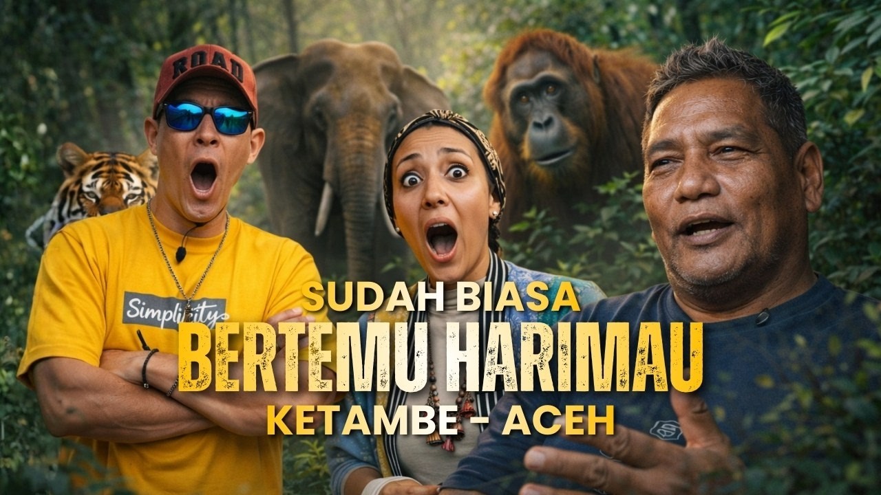 PERBATASAN ACEH - SUMATERA UTARA