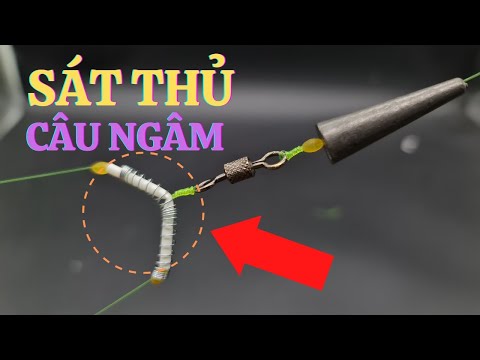 Video BẬT MÍ cách làm thẻo câu cá sông câu ngâm hiệu quả cao... - youtube