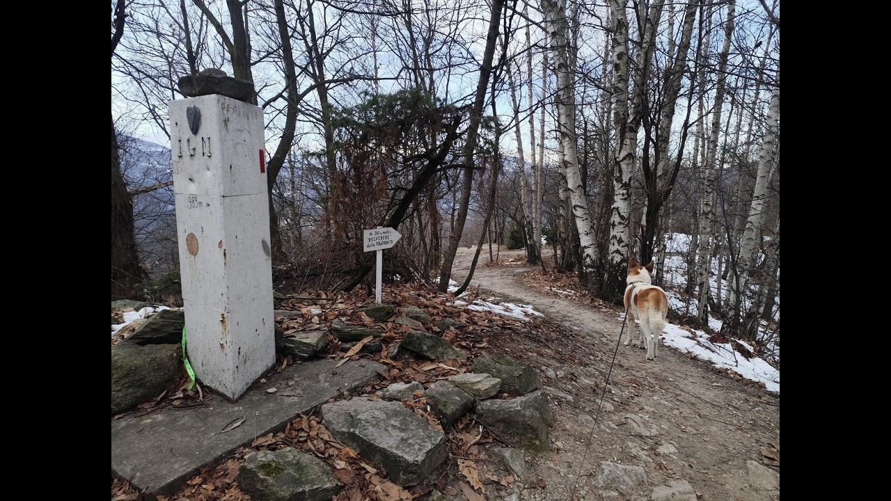 Escursione da Costigliole Saluzzo al monte Pagliano 13_01_2026
