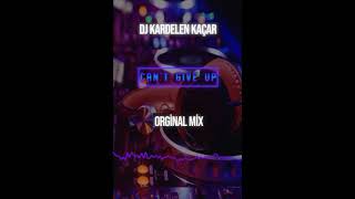 Cant Give Upbigroom Remix