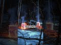 The lia Incident (GEORGIA)