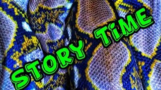 MASSIVE PYTHON Covered In COCKROACHES RESCUE. (story time)