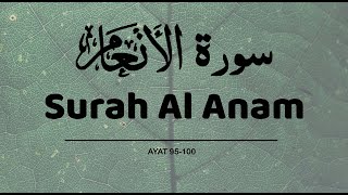 Surah Al An'am || Ayat 95-100 || With Arabic || سورۃالأنعام ‎ || HEART TOUCHING RECITATION