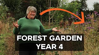 Food Forest Garden Tour | Permaculture in practice (August 2025)