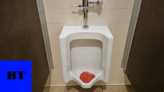 Rare 2005 Toto Ut370 Urinal And Some Ct708 Toilets - Regions Bank Knoxville, Tn