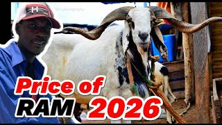 Price of Big RAMs for Eid 2026 in The Gambia
