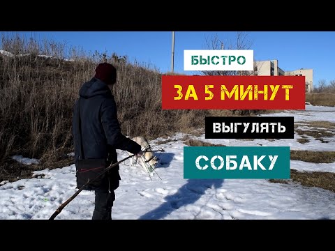 Как быстро и