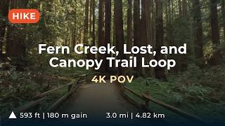 Fern Creek, Lost, and Canopy Trail Loop | Muir Woods National Monument | Immersive Hike