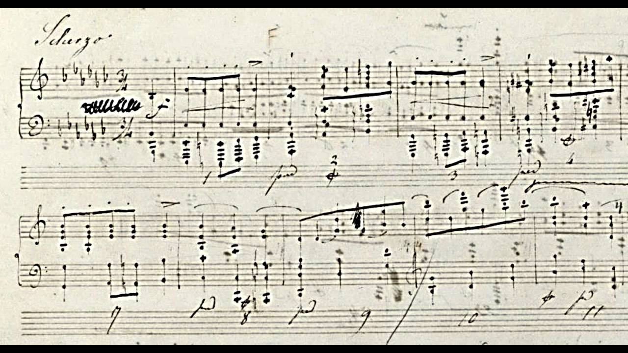 Tibor Szasz Faculty Recital Oct 19, 2004 Freiburg Germany Chopin Sonata op 35