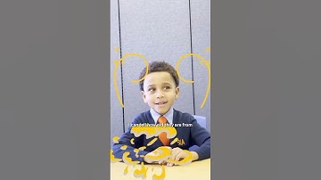 Kids Explain | Fossils