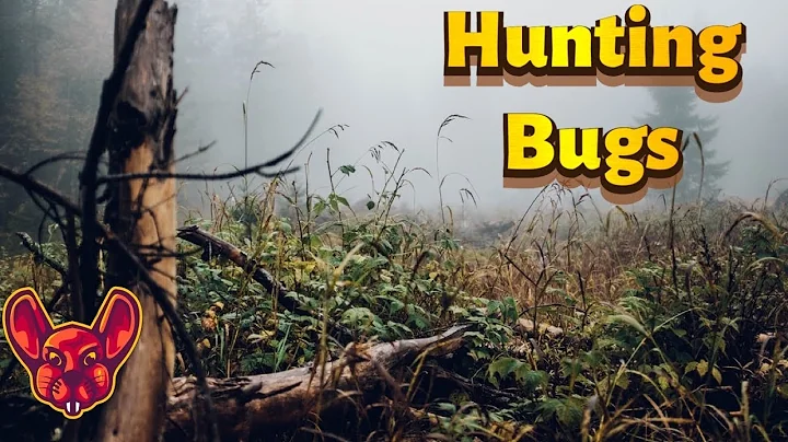 Beginner Bug Bounty Advice