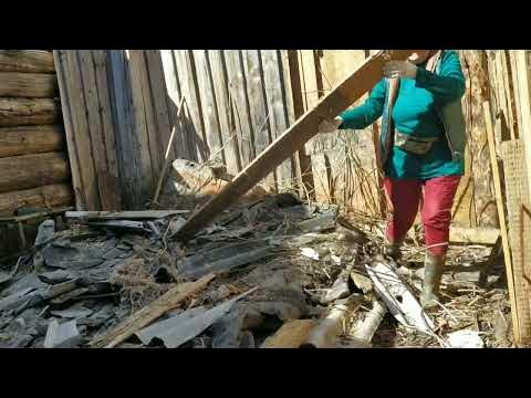 Мочете, бензопила и я. - YouTube