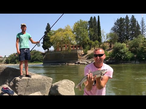 ЭКЗОТИЧЕСКИЙ ВЫПУСК! Рыбалка на ТРАВКУ в Грузии! Ловля Усача (чанари) на Куре в Грузии.