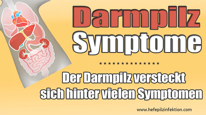 Darmpilz Symptome erkennen
