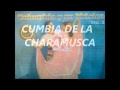 CUMBIA DE LA CHARAMUSCA.. sonido chaney tepito