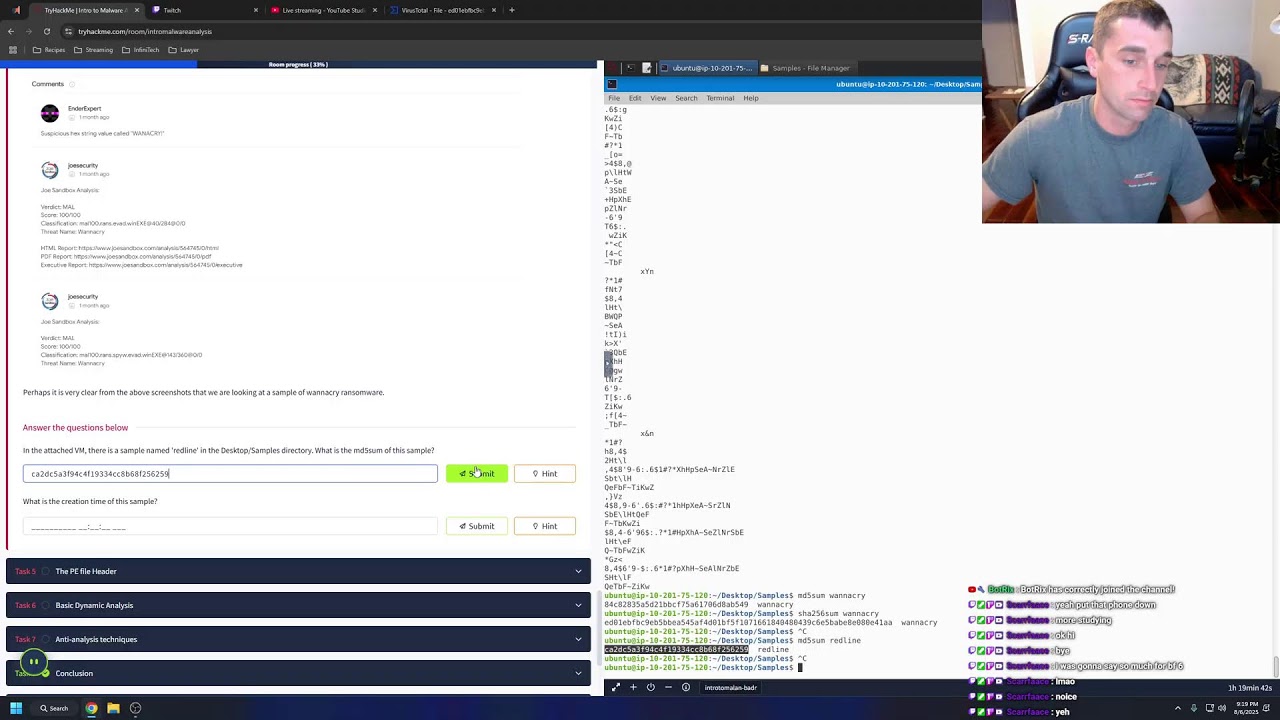 Learn Cyber Security w/ Me! (Intro to Malware Analysis) - TryHackMe!