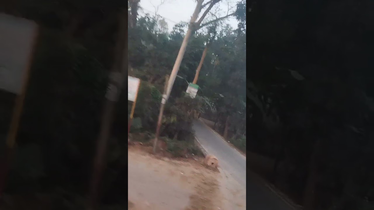 যখন চোখ থমকে দাঁড়ায়। অন্তর্দৃষ্টি, স্মৃতি এবং অনুভবের সূক্ষ্ম মুহূর্তগুলোকে প্রকাশ। #viral #video 