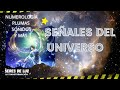 Sincronicidad✨Señales del universo✨Mensajes de tus ángeles✨Señales de plumas ✨Numerología ✨11 11