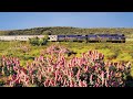 Indian Pacific - Off Train Activities