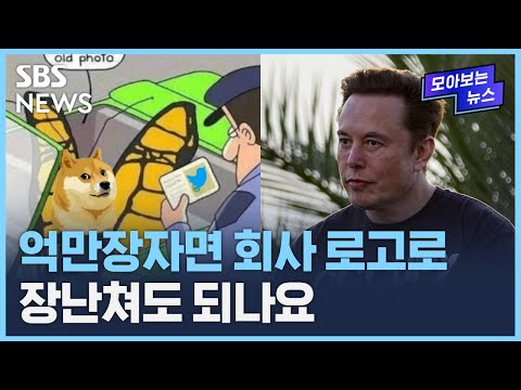 파랑새 대신 시바견 내건 트위터 일론 머스크 기행의 끝은 어디 SBS 모아보는 뉴스 