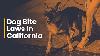 California's Strict Liability Dog Bite Laws