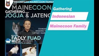 gathering indonesia mainecoon family by cat story 1,049 views 4 years ago 29 minutes