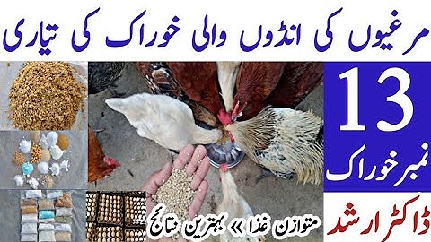 How to Make Poultry Feed in Pakistan 2022 | Laying Hen Ration | 13 Number Feed | Dr. Arshad