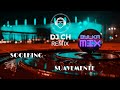 Soolking  suavemente dj ch bylka mix 