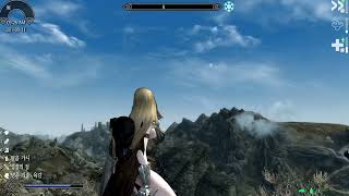 Catch Skyrim CTD crashes and view log records using the .NET Script Framework mod.