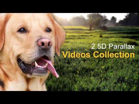 25D Parallax Videos
