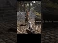 Theres an impostor among us #skyrim #skyrimmemes #oblivionmemes #oblivion