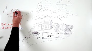 What is the cost to a farm of diffuse pollution?